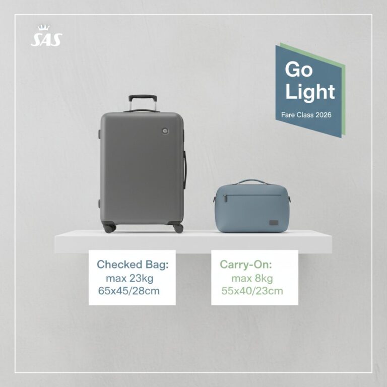 SAS Baggage Policy